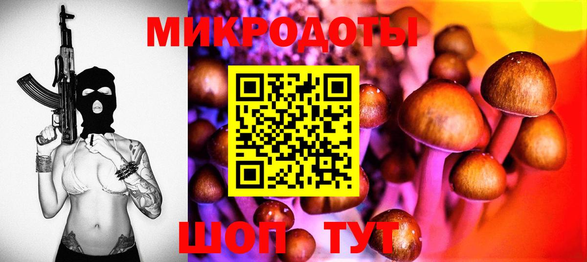 Псилоцибиновые грибы мухоморы Кудрово